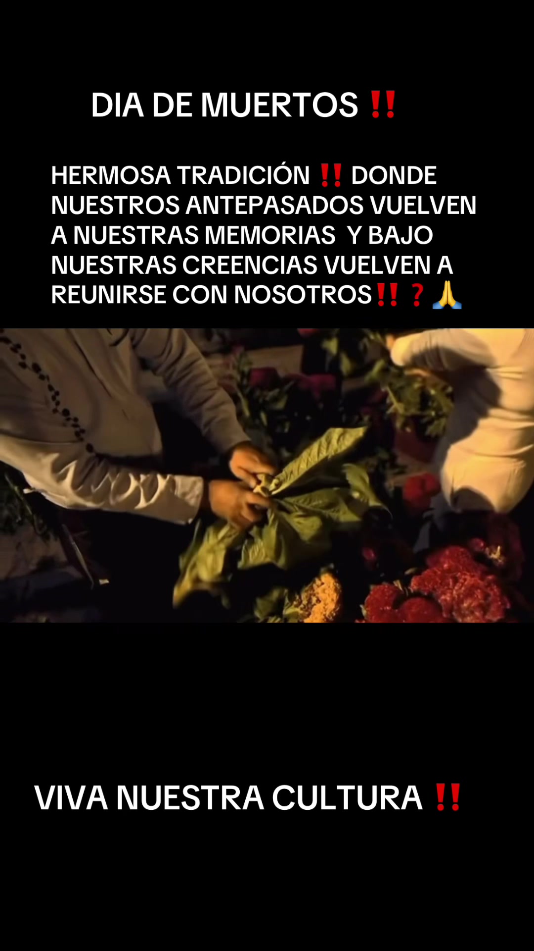 @amexicoselerespeta