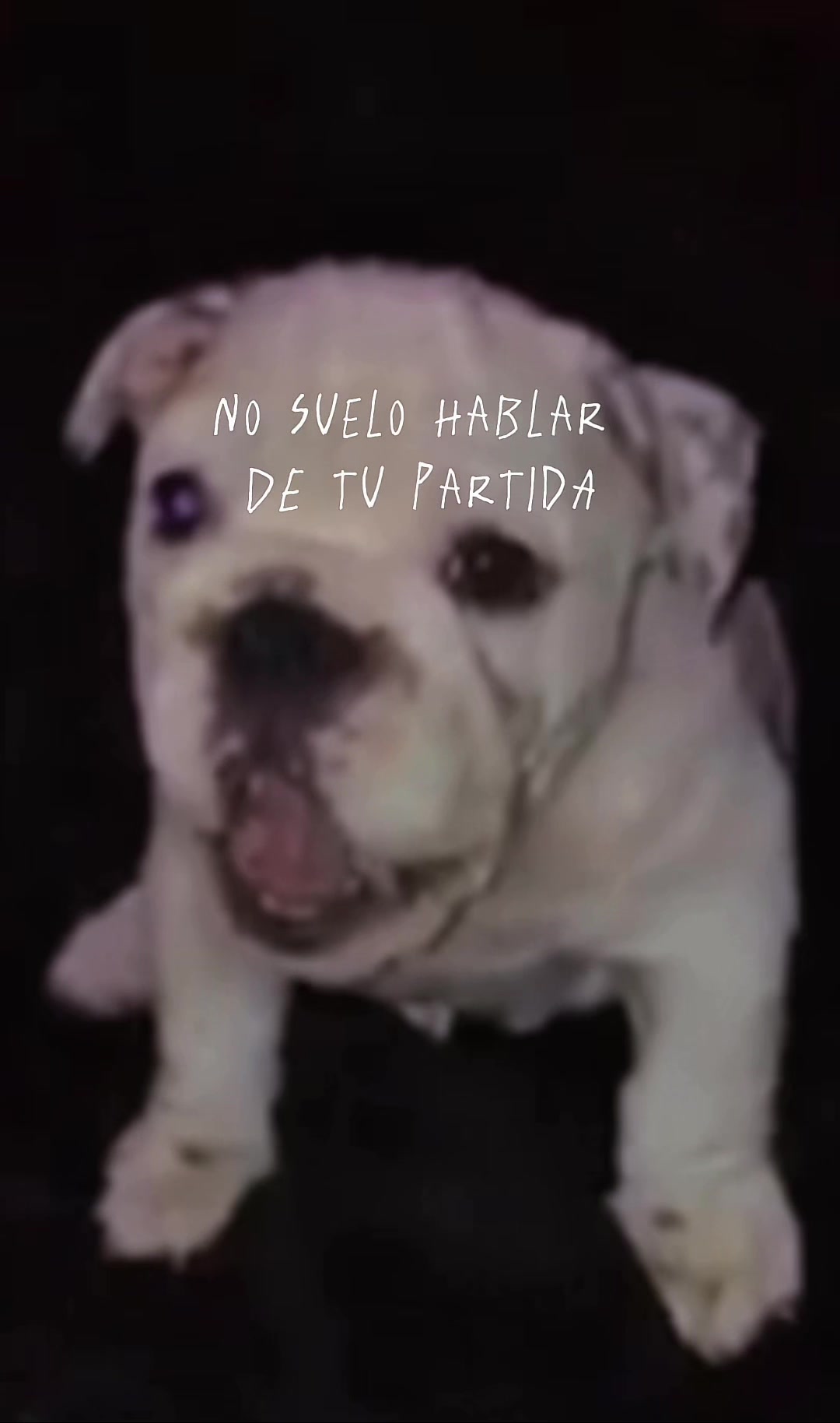 @Barbarela
