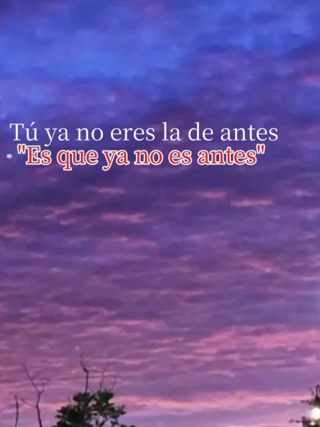 @Cecy Doll