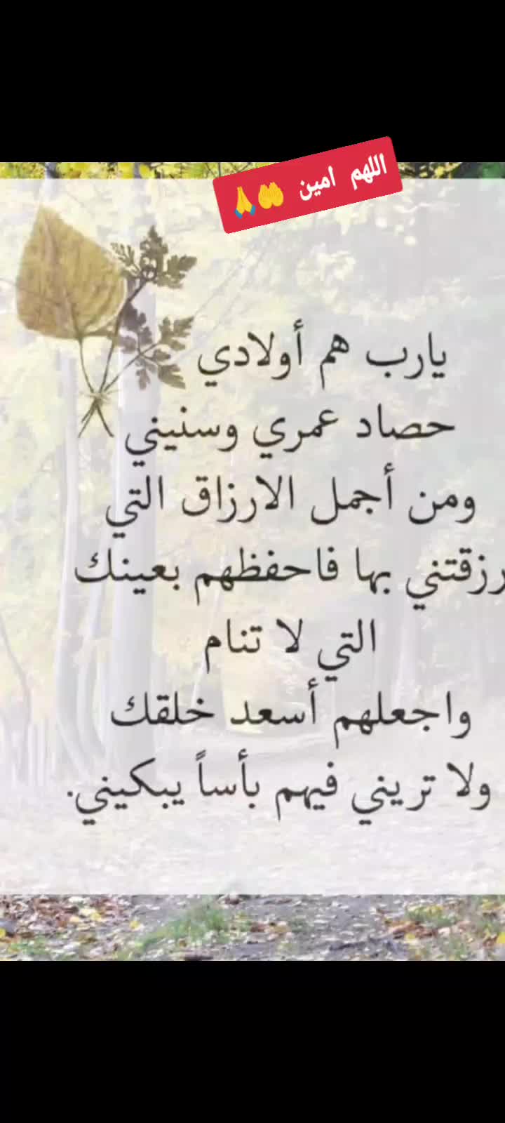 @islam-(Zr@31)