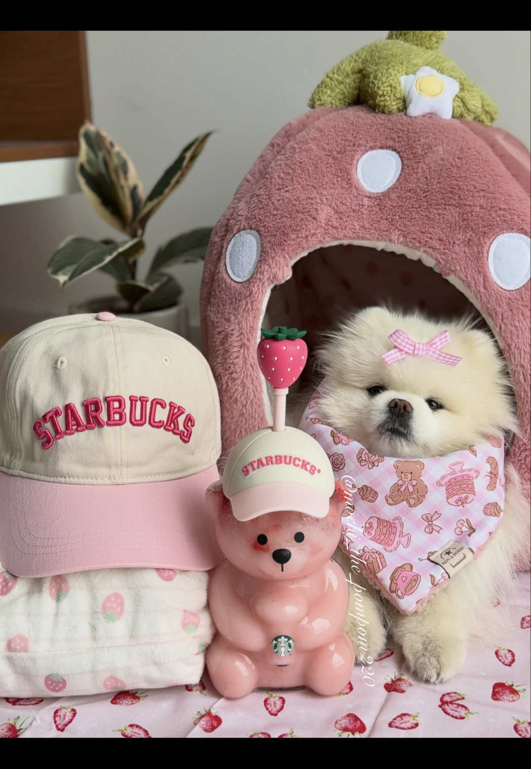 @lil.fluff.ball_mochi