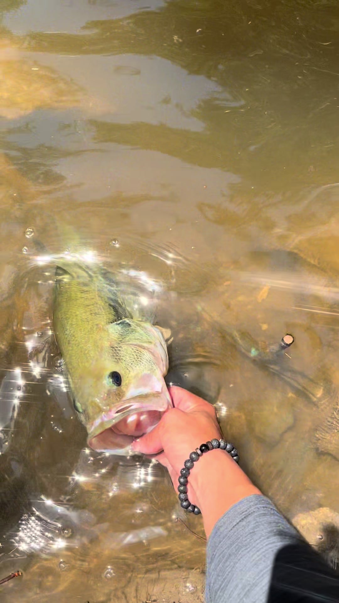 @chance2fish