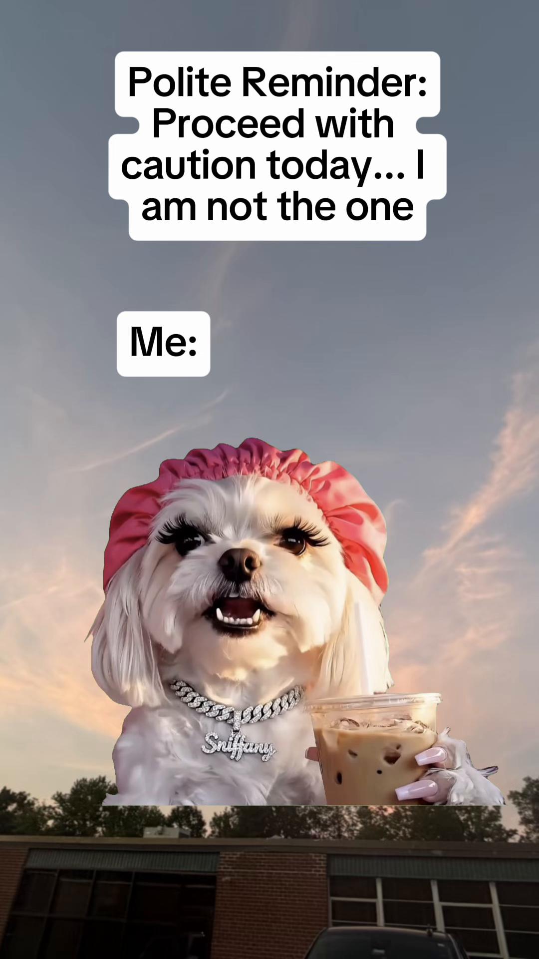 @Chaos Coordinator