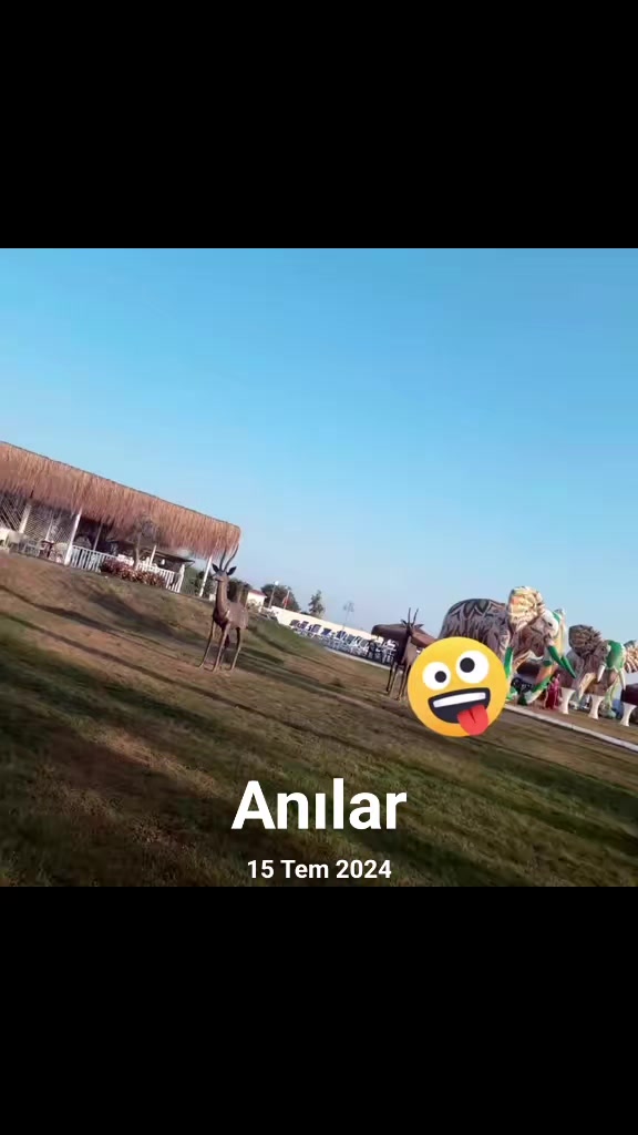 @Yasemin Uyanık