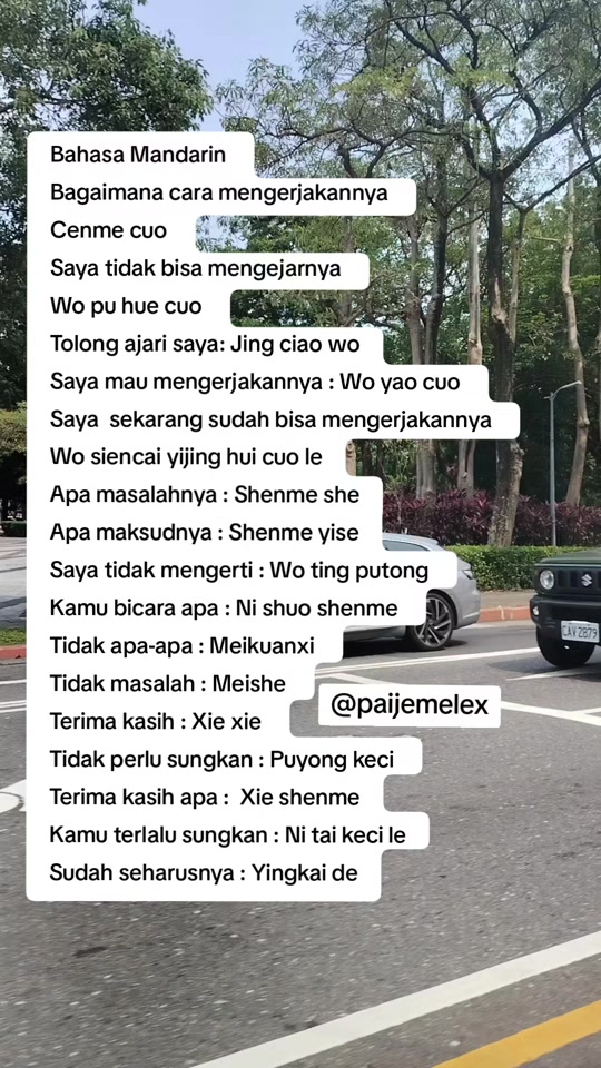 @paijemelex