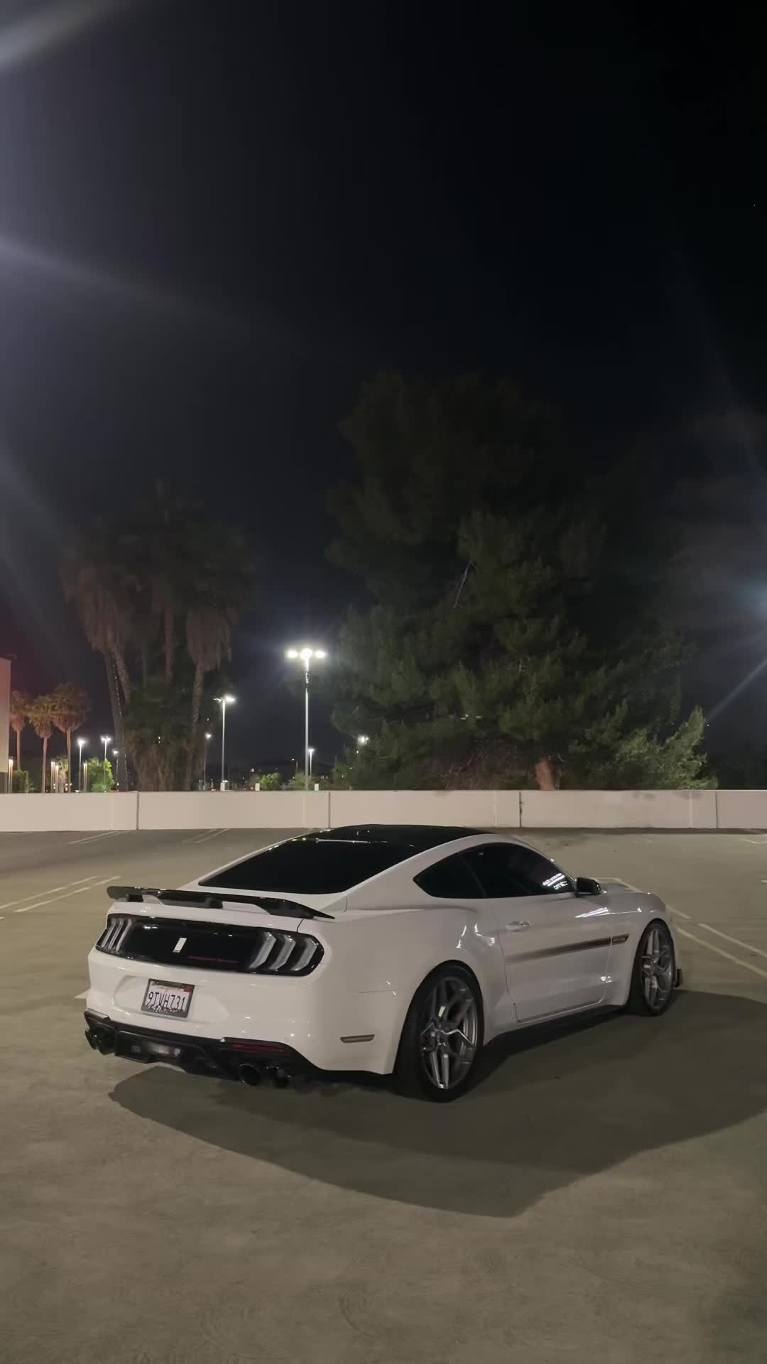 @Jalen.cs