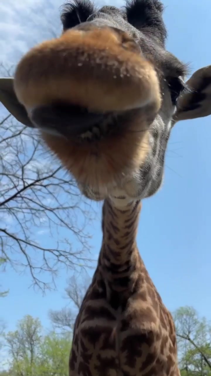@Cincinnati Zoo