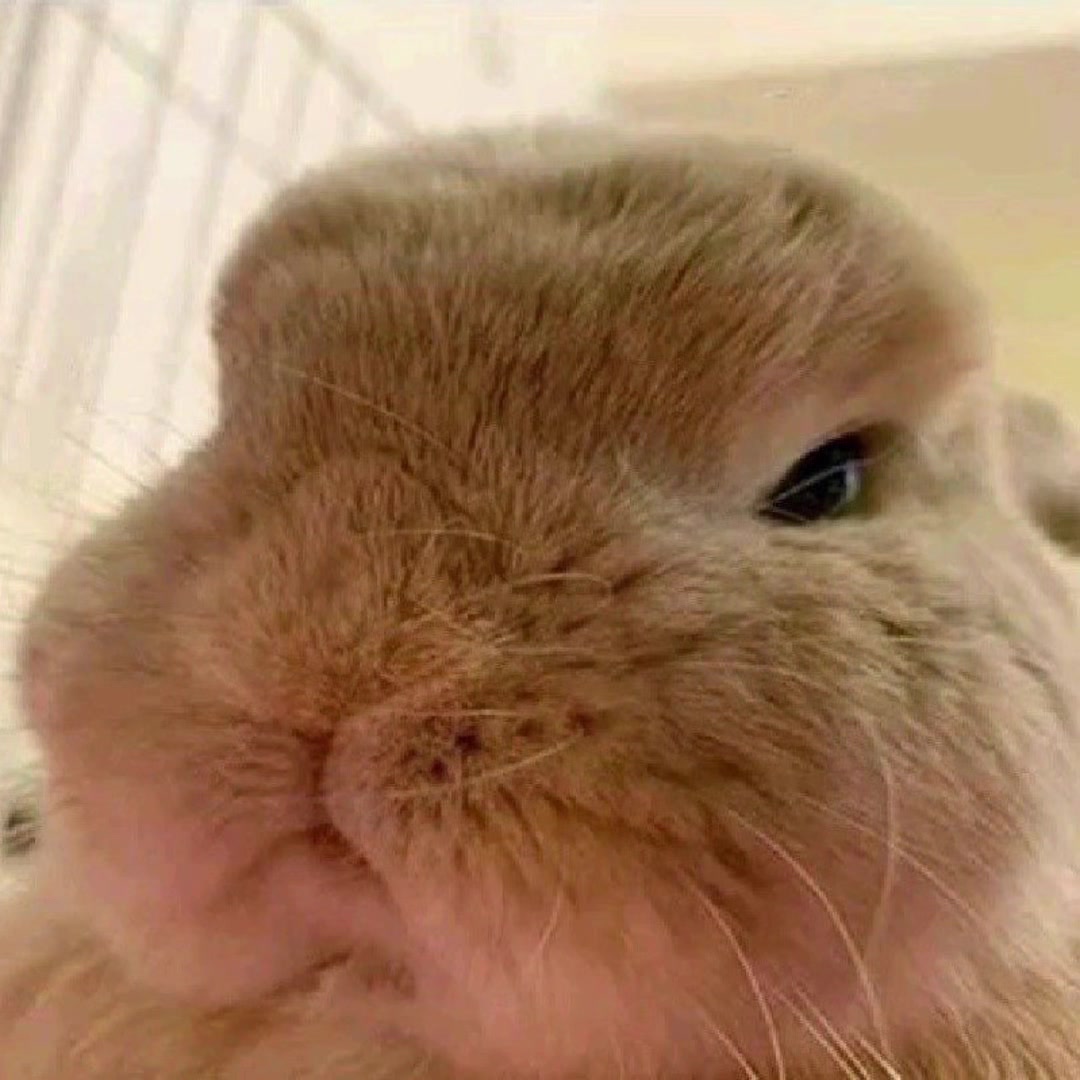 @๐ฟ๐๐๐๐๐๐๐๐๐๐ ๐ฏ .แโธโธ