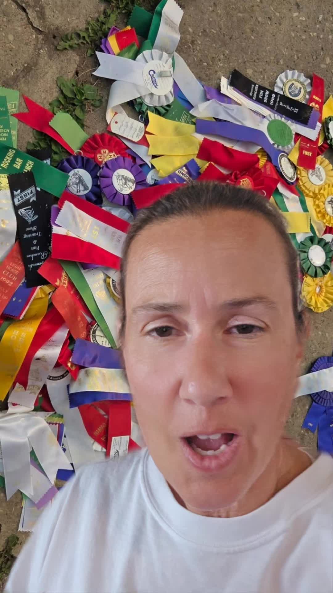 @DressageHub