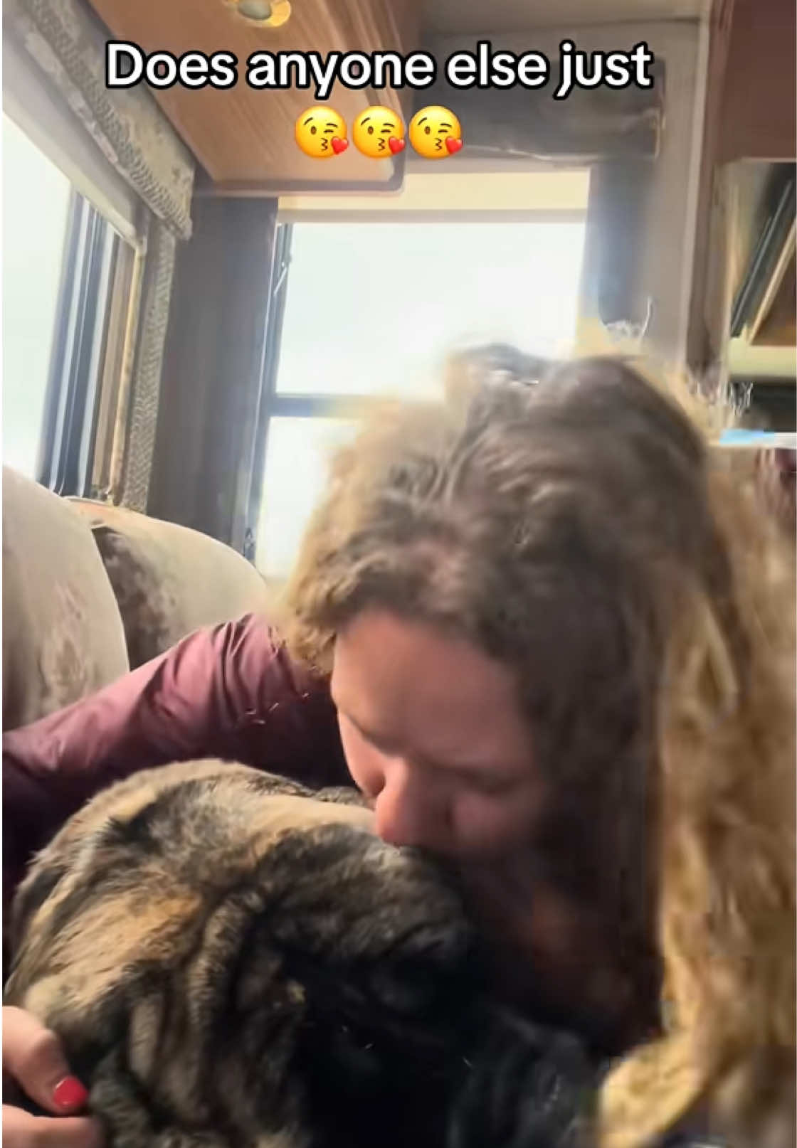 @BrindleBearTheMastiff