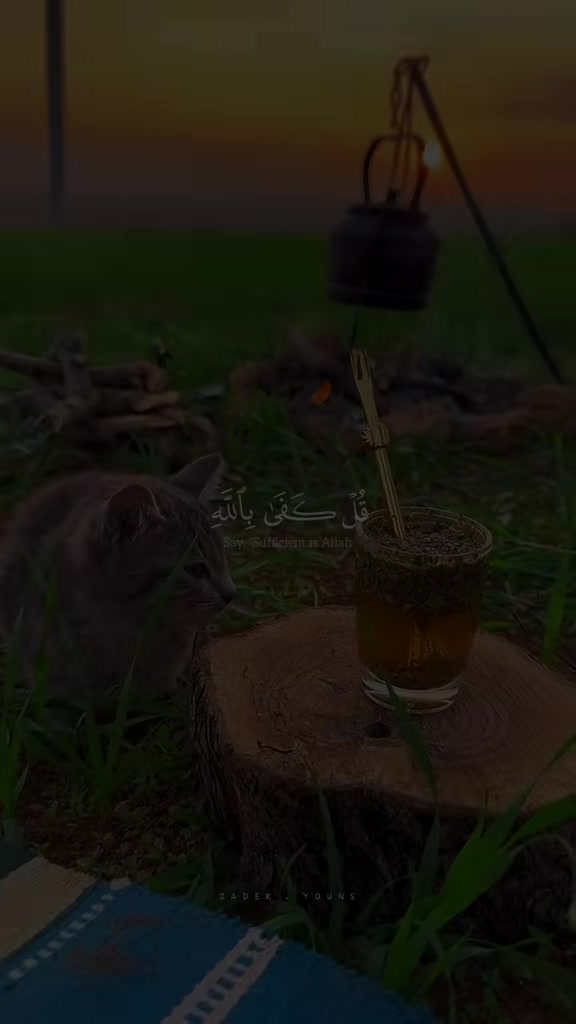 @𝘠𝘰𝘶𝘴𝘴𝘦𝘧 😍❤️🔥