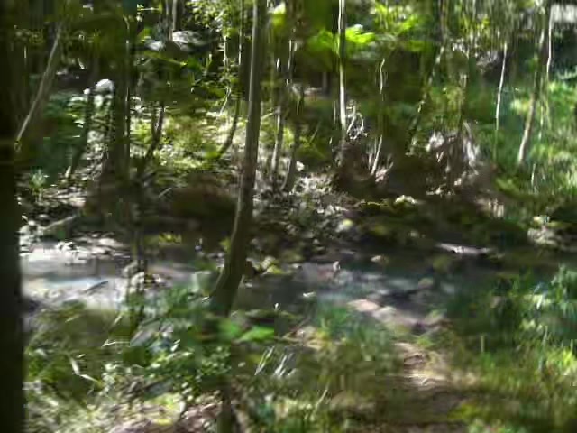 @digicamvids