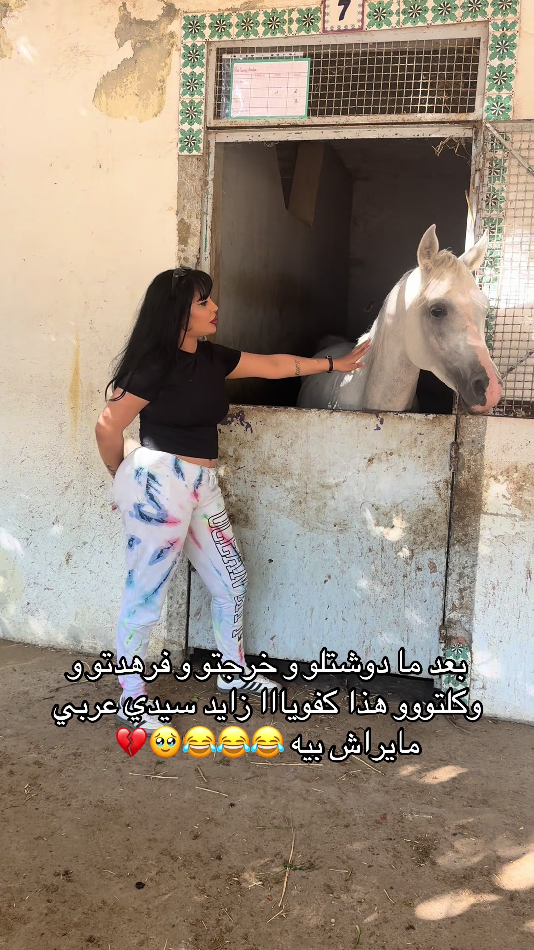 @Hayfa Makki