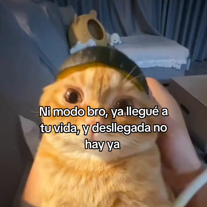 @goodvibessxd