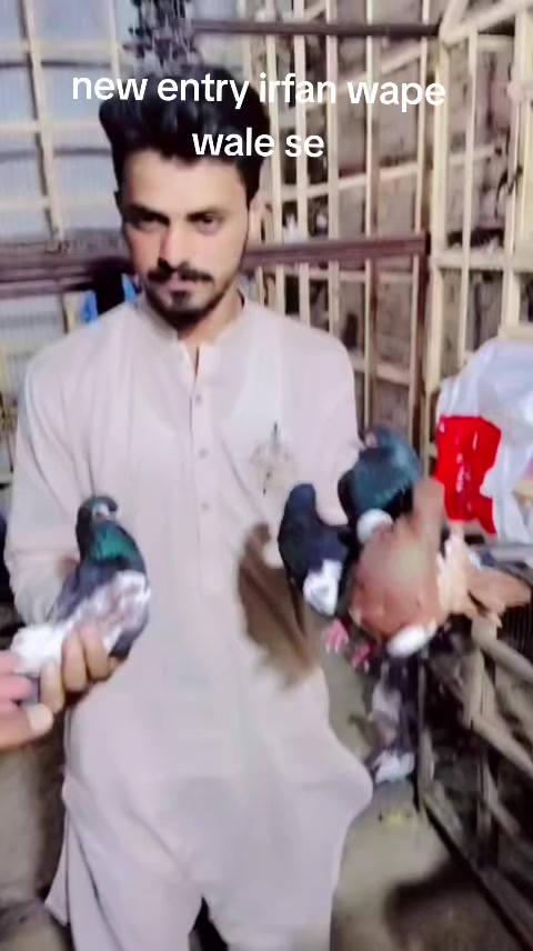 @Waseem Bhatti