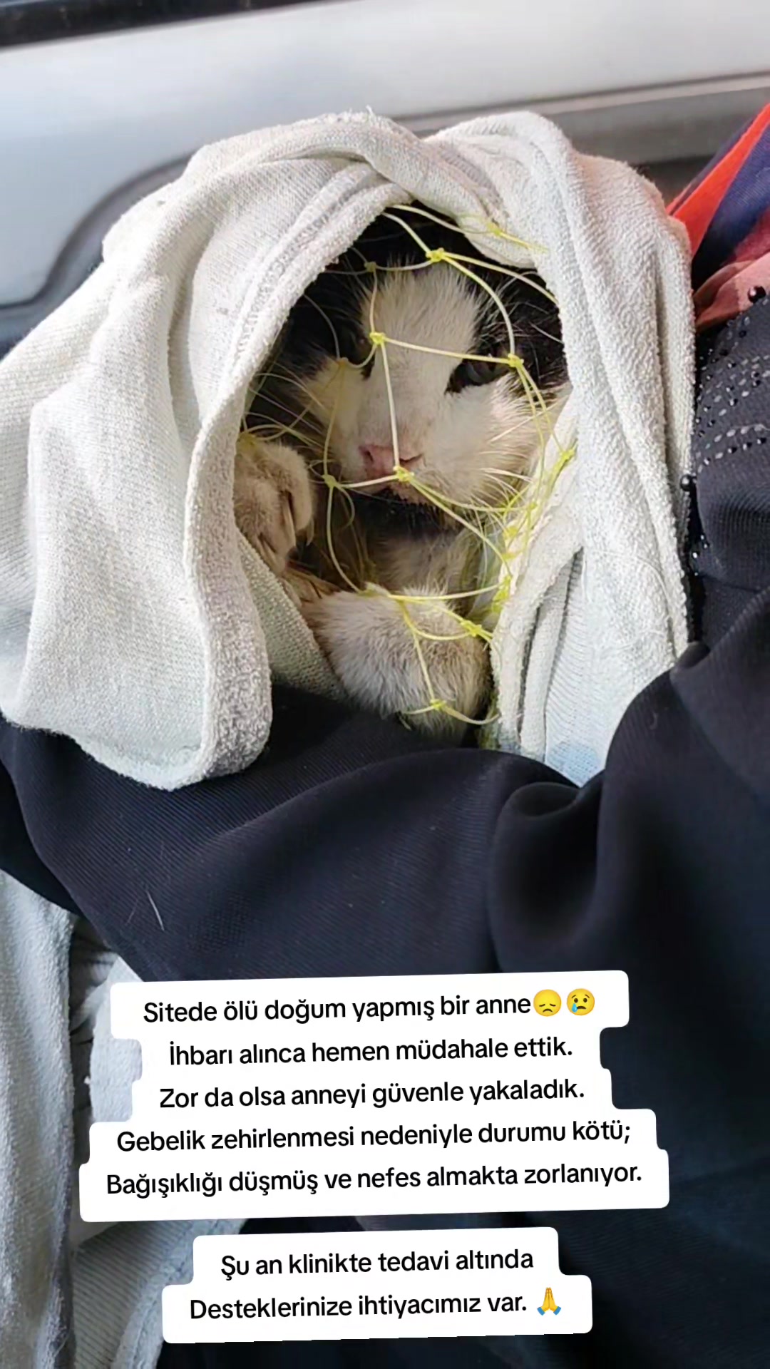 @Esma Er
