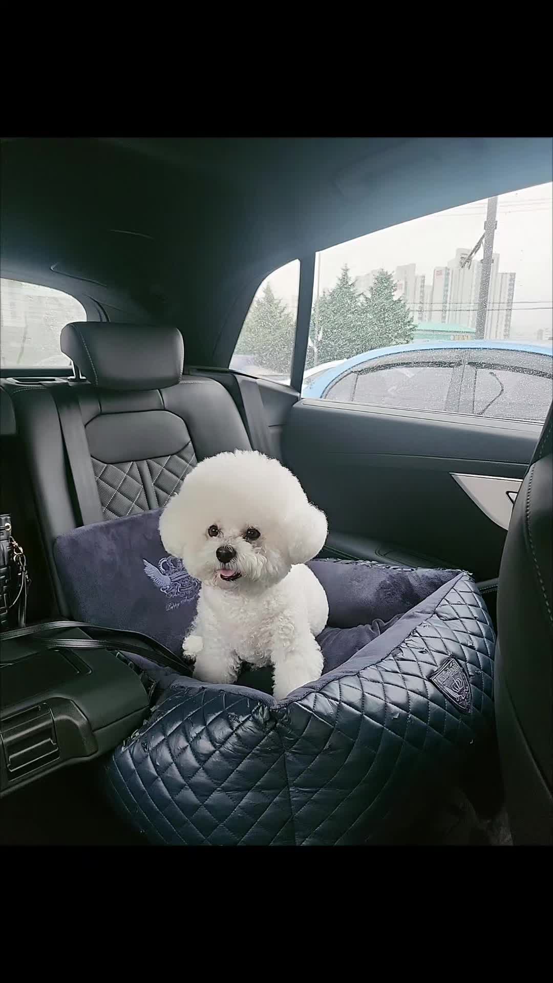 @다산엄마