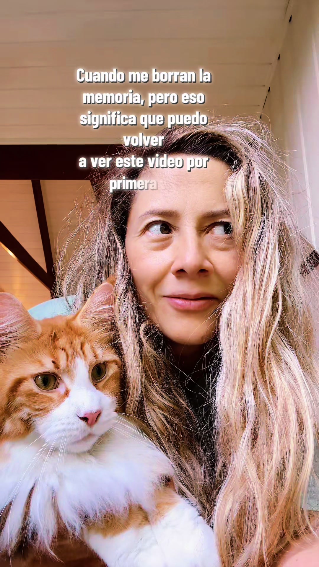 @Casa de Gatos 😻