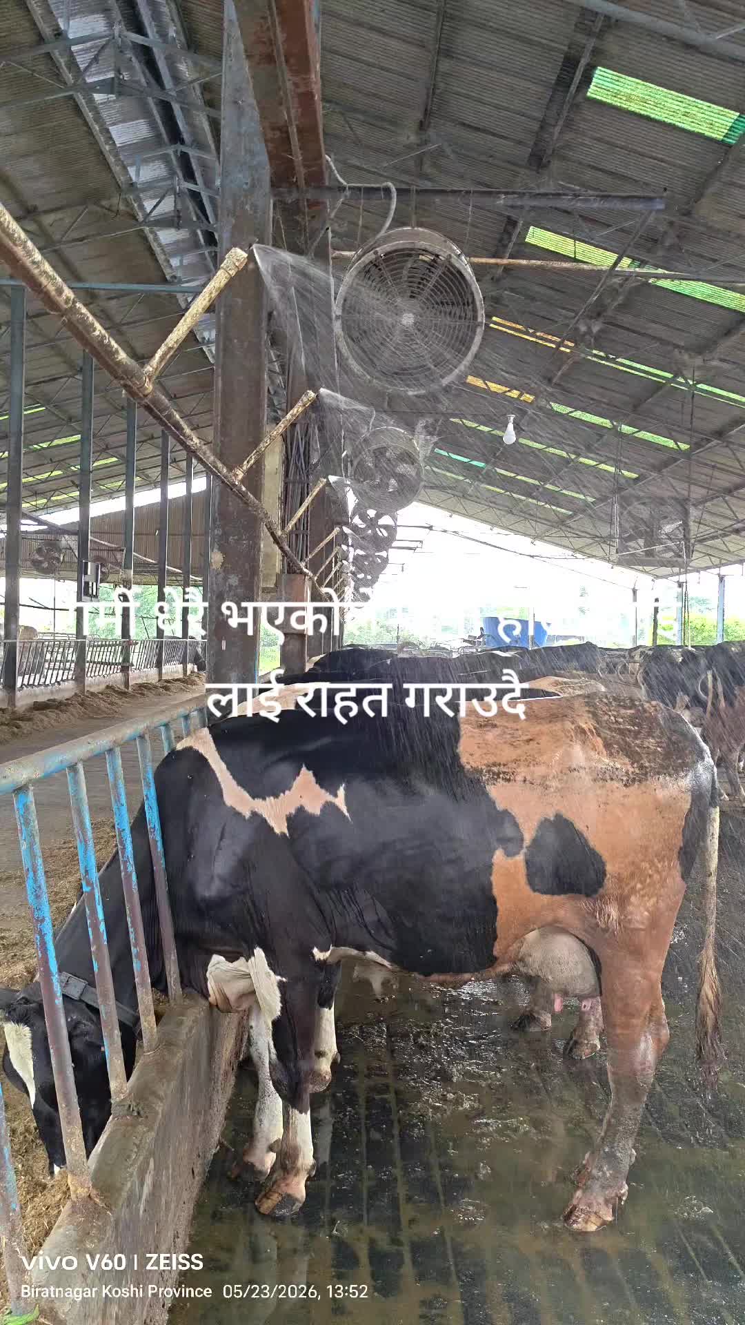 @Banjara Agro