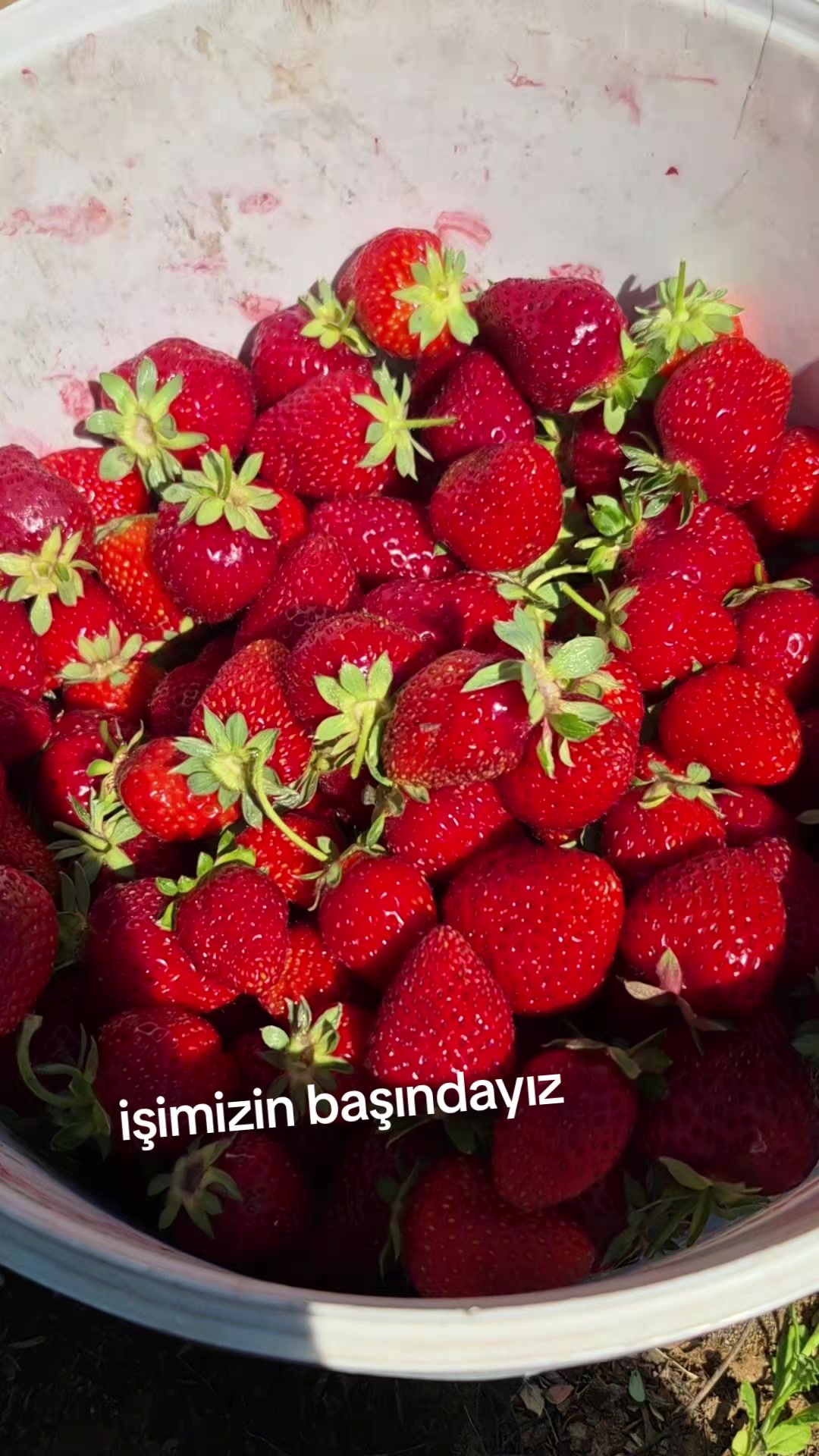 @Gülten