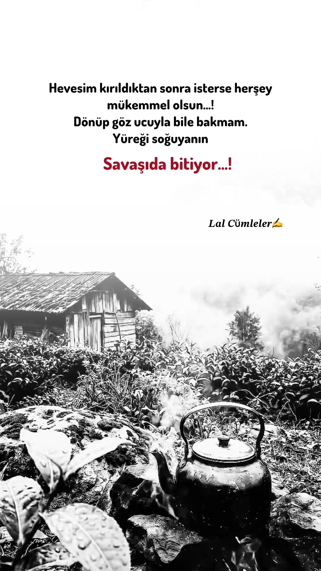 @𝑳𝒂𝒍 𝑪&uuml;𝒎𝒍𝒆𝒍𝒆𝒓✍️