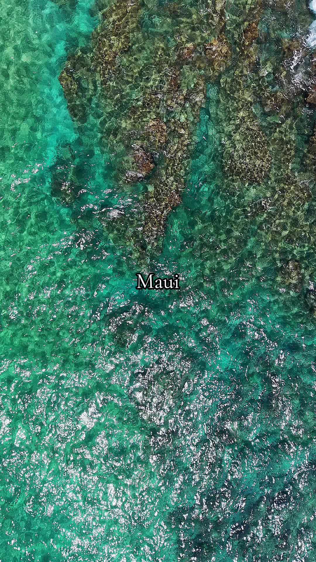 @Hike Maui