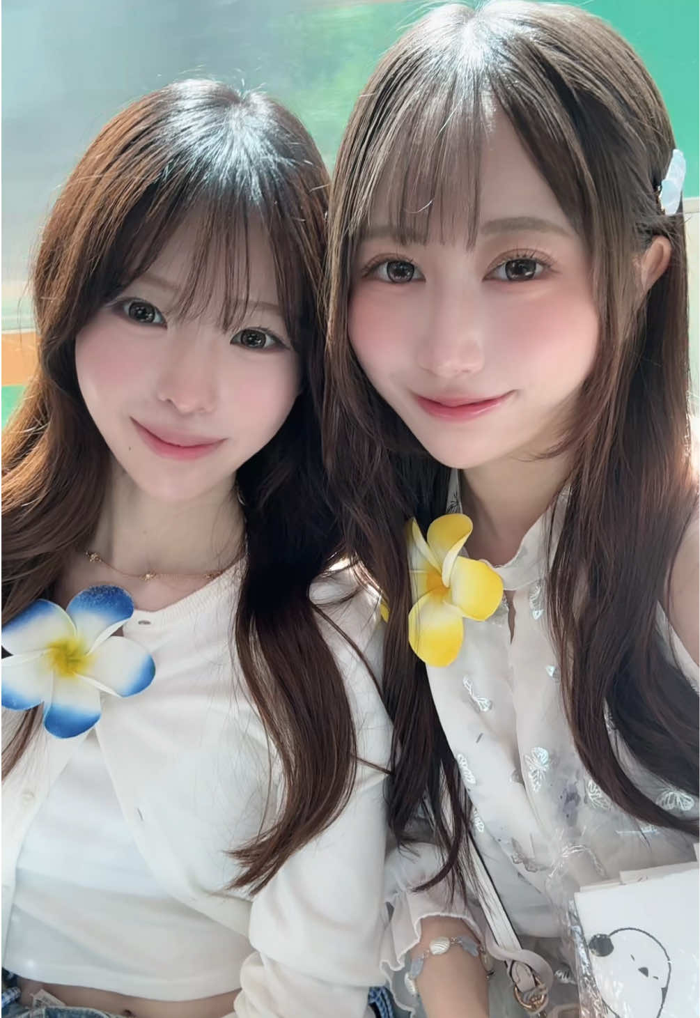 @聖璃 Seri