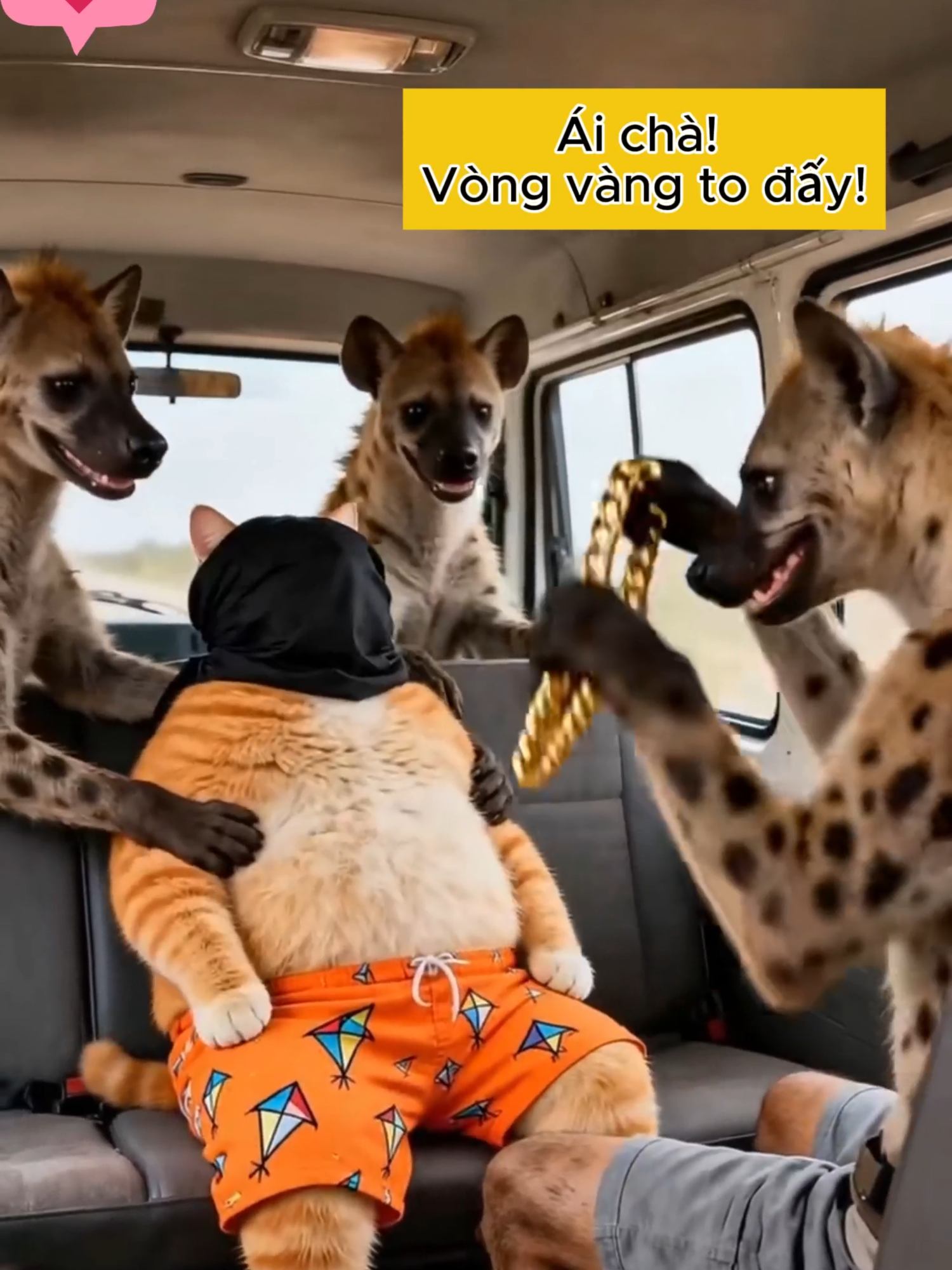 @M&egrave;o H&agrave;i Hước