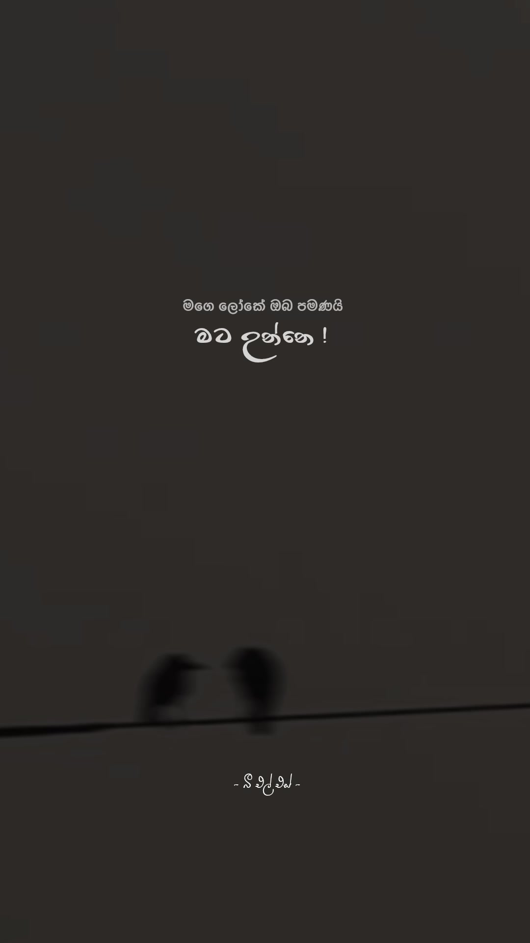 @𝒯𝒽𝑒 𝐵𝓁𝓈 ♡ !
