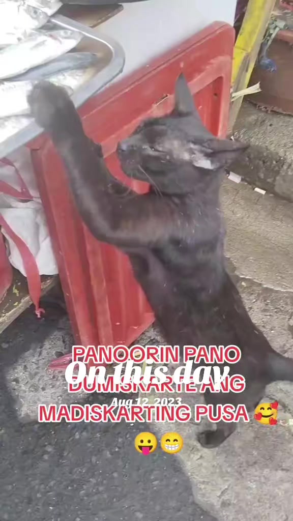 @๐จ๐๐๐๐๐๐ฅ๐ณ๏ธ๐๐ต๐ญ011
