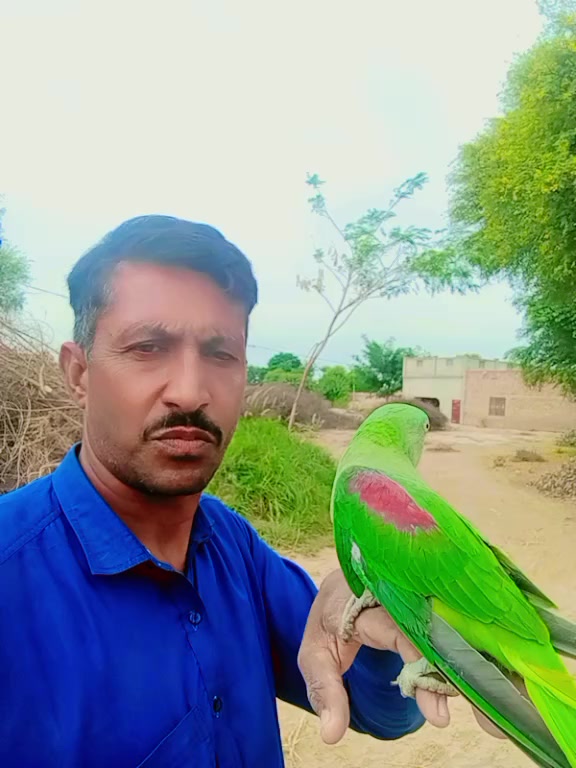 @جام نیاز