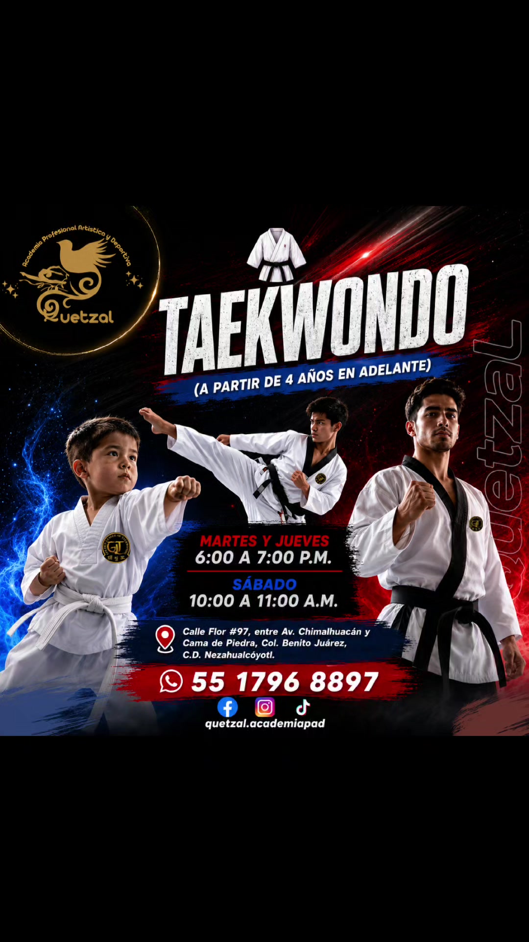 @Quetzal - Academia Profesional