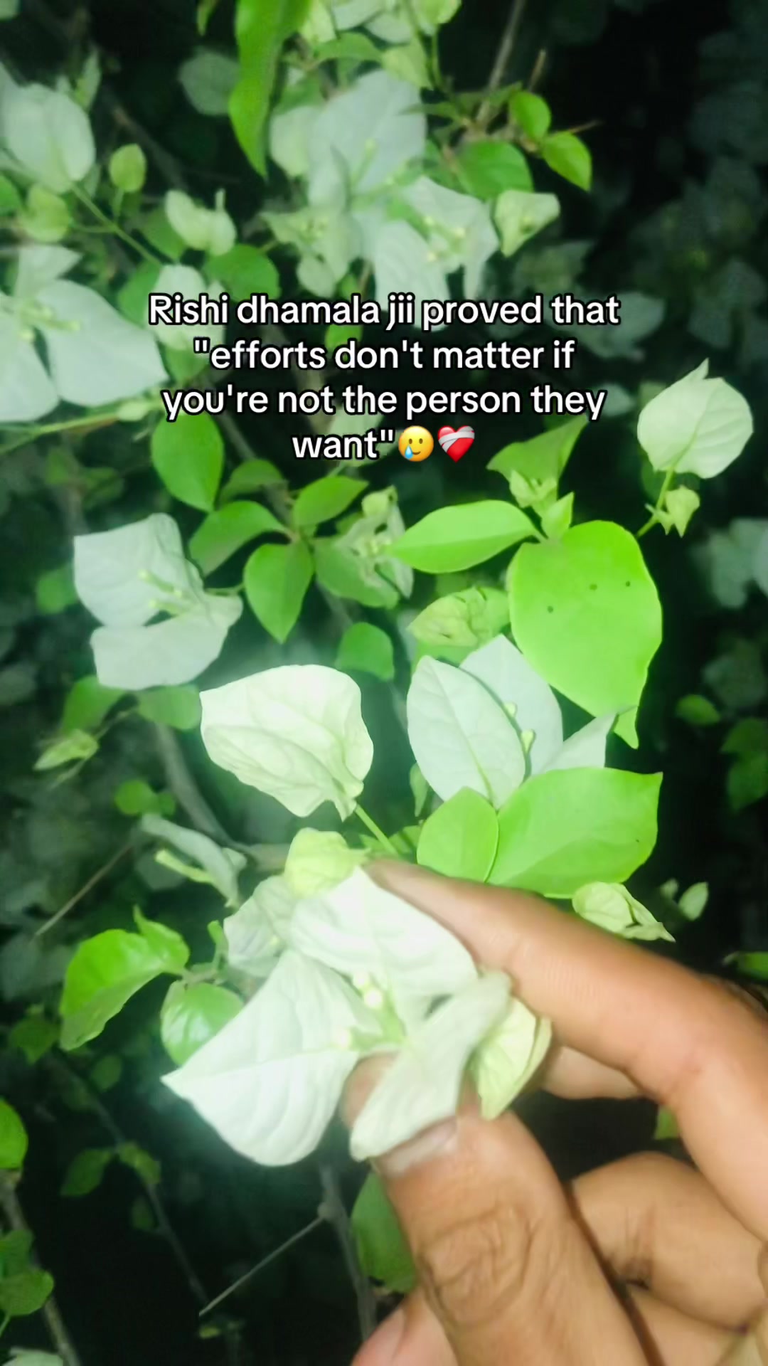 @ANISH ❤️