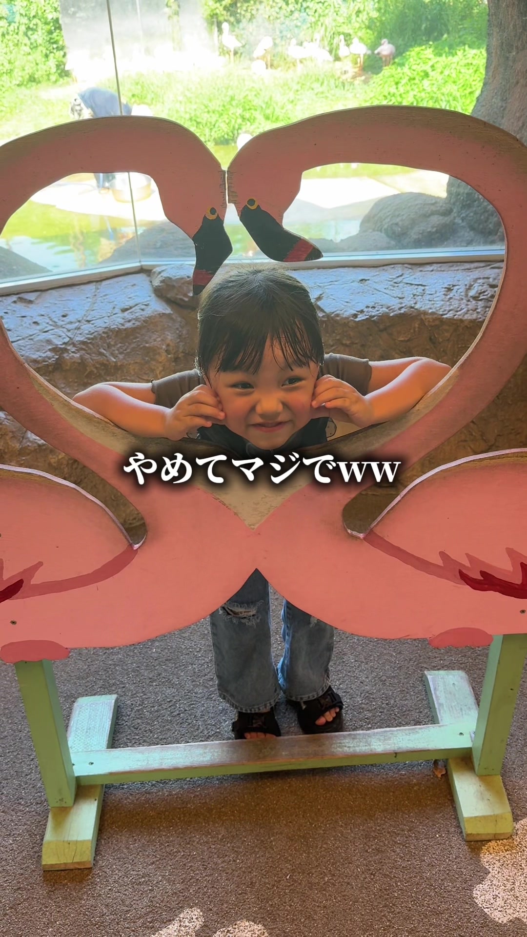 @きいパパ🍚🍎