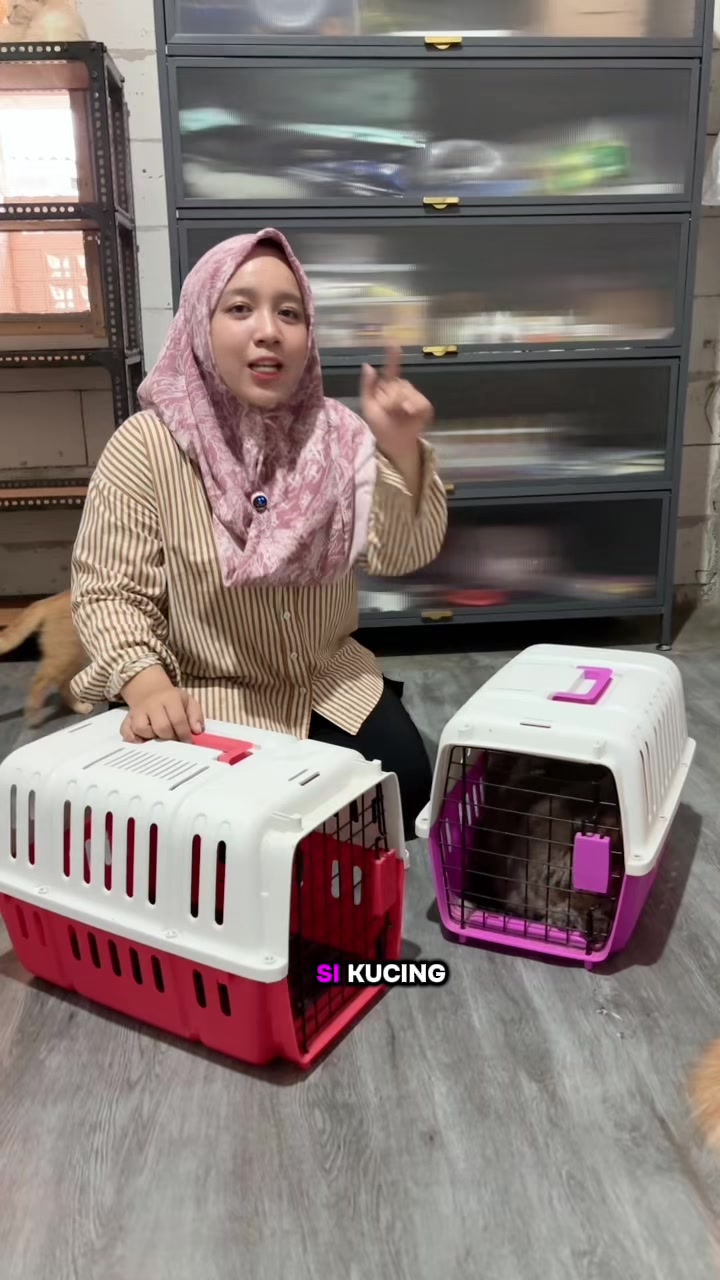 @BUMI ANABUL😺
