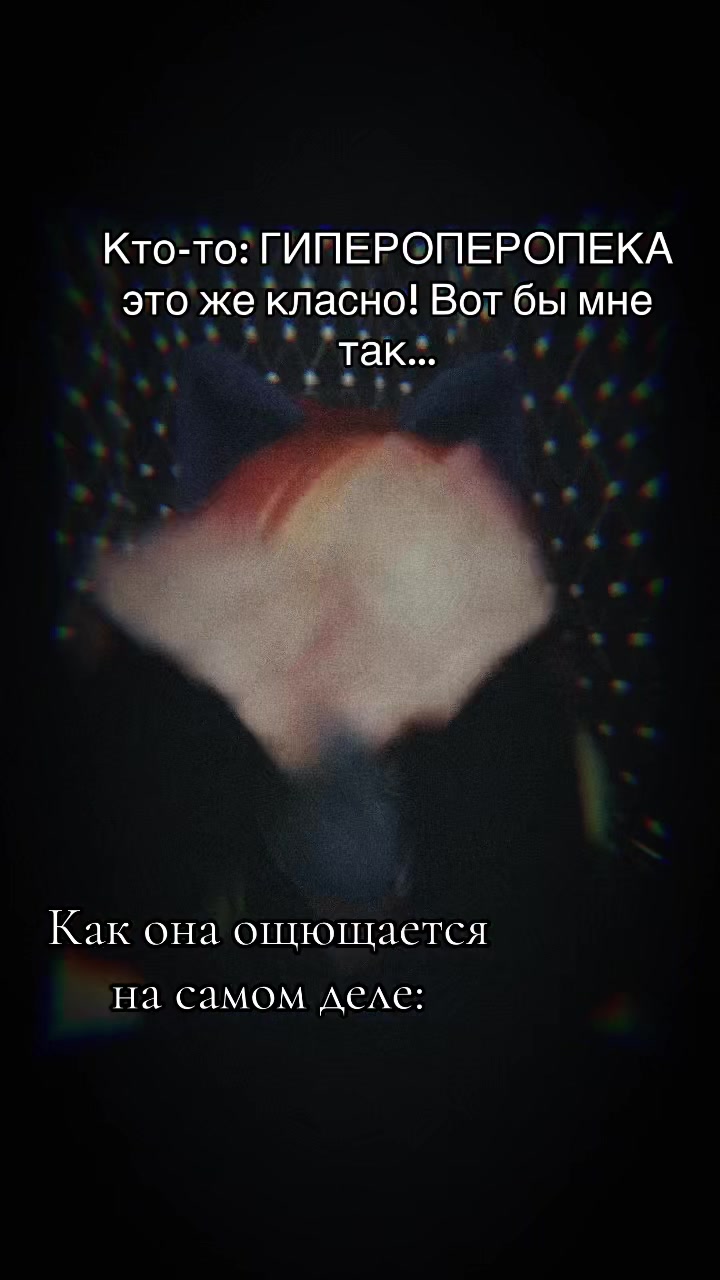 @⚡️𝗥𝗔𝗜𝗡𝗕𝗢𝗪_𝗗𝗔𝗦𝗛🌈