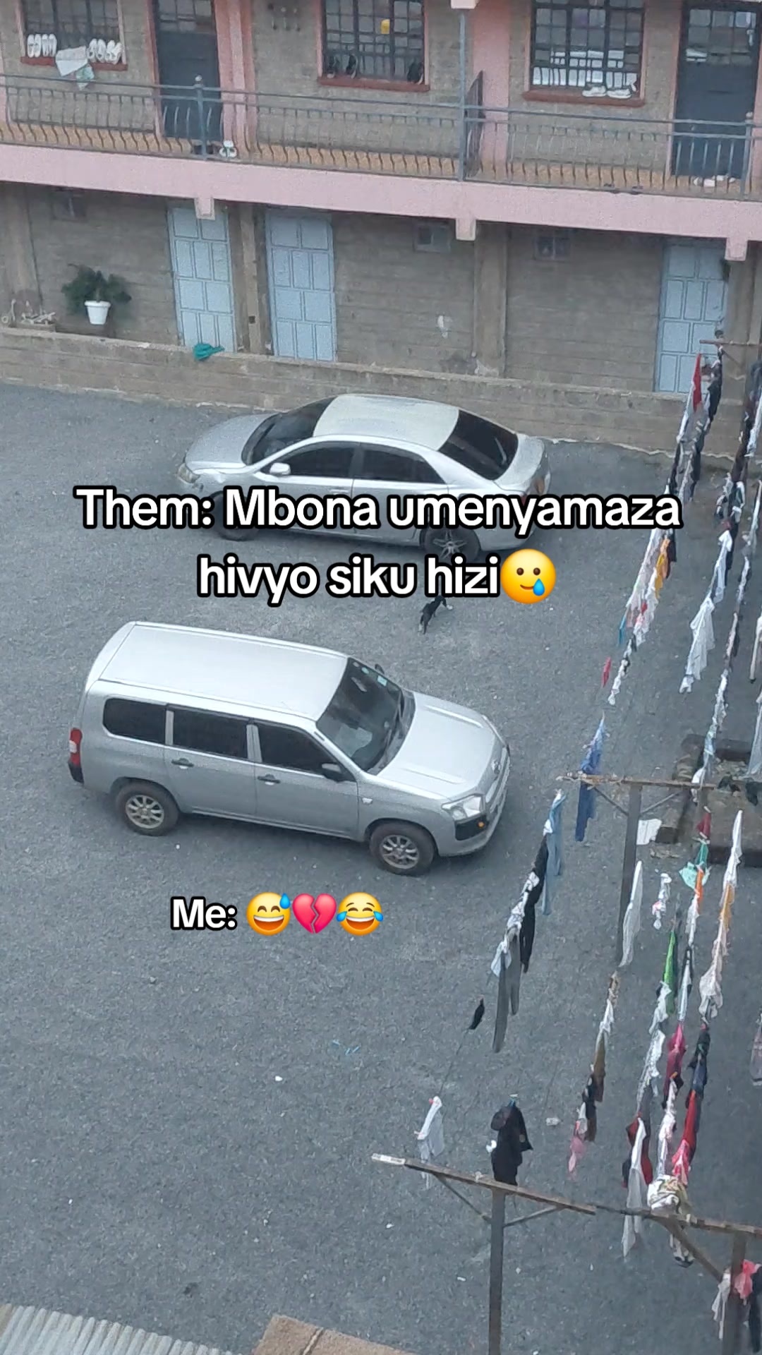 @joemax🥷
