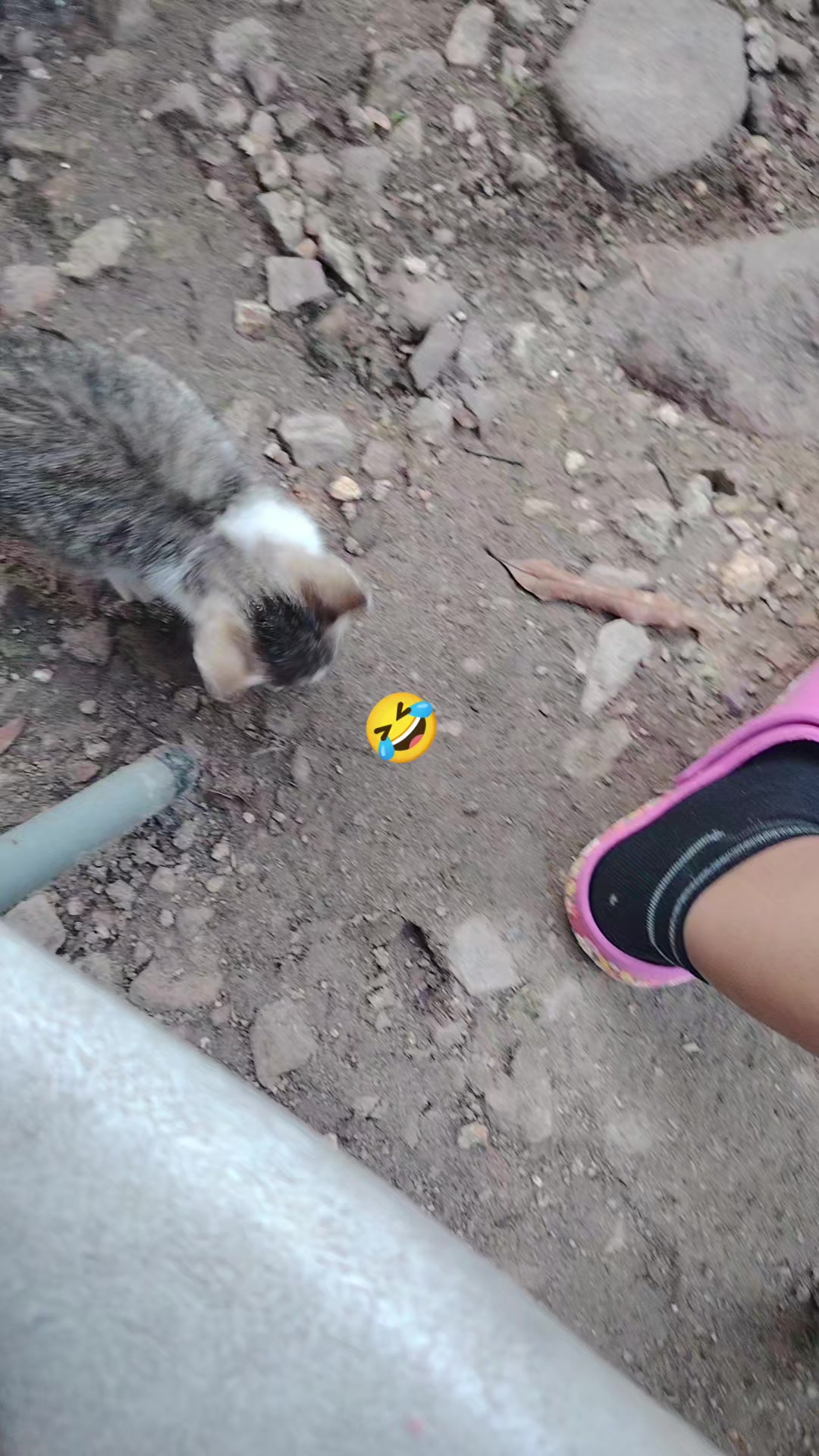 @🇭🇳👑Yamileth 😭💔🇭🇳🦿💪