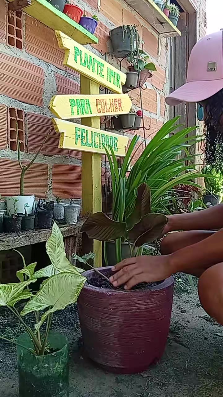 @jardim da neya🪴🌵