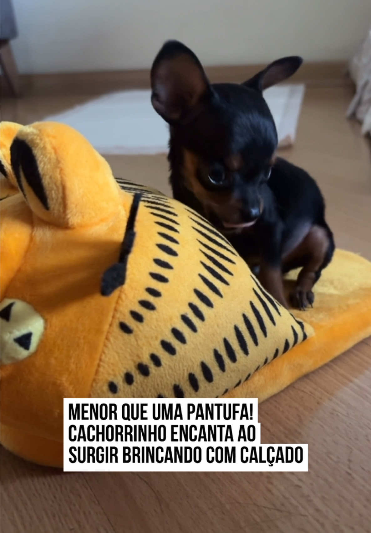 @Metrópoles Oficial