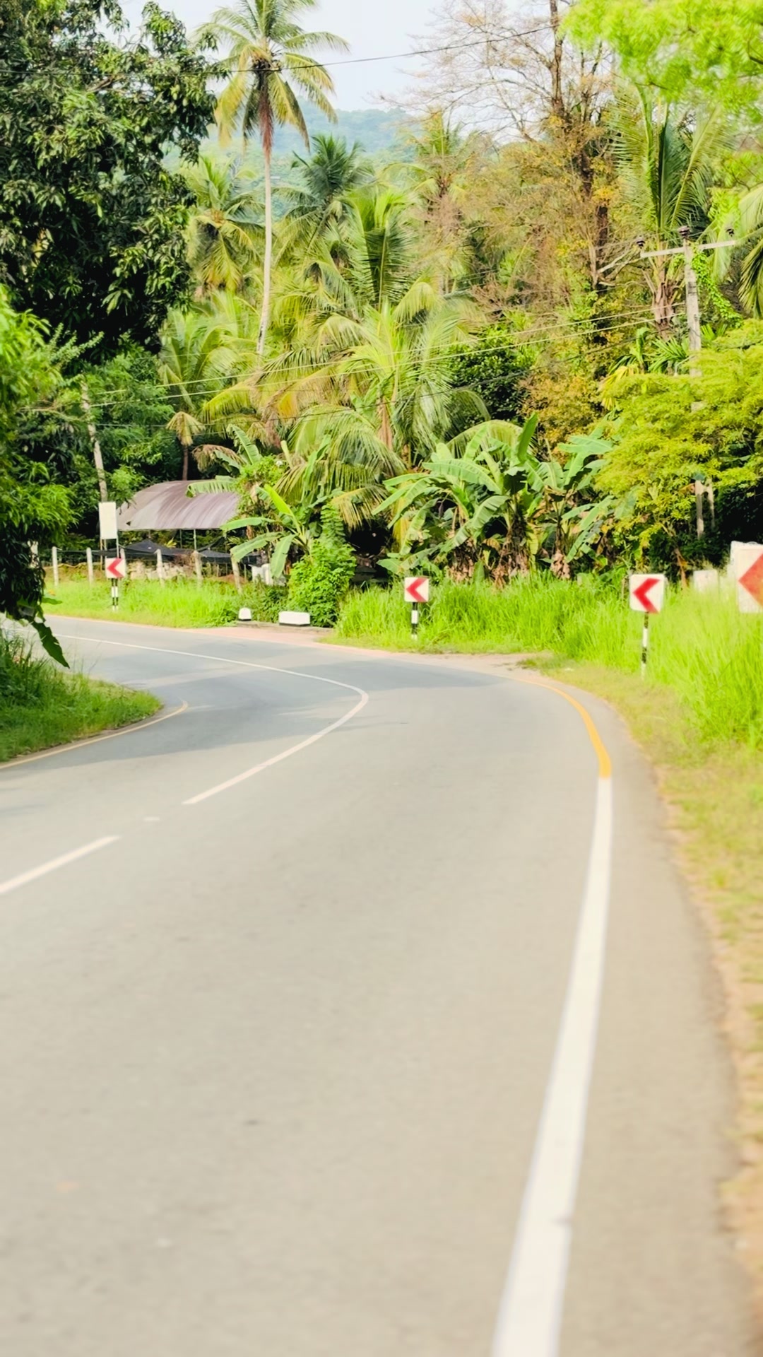 @ජපන් ළමිස්සි-Indunil Super Ex.