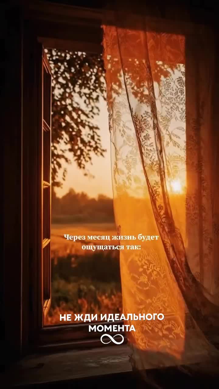 @☆꧁✬◦.𝒱.𝒮𝒽 .✬꧂☆