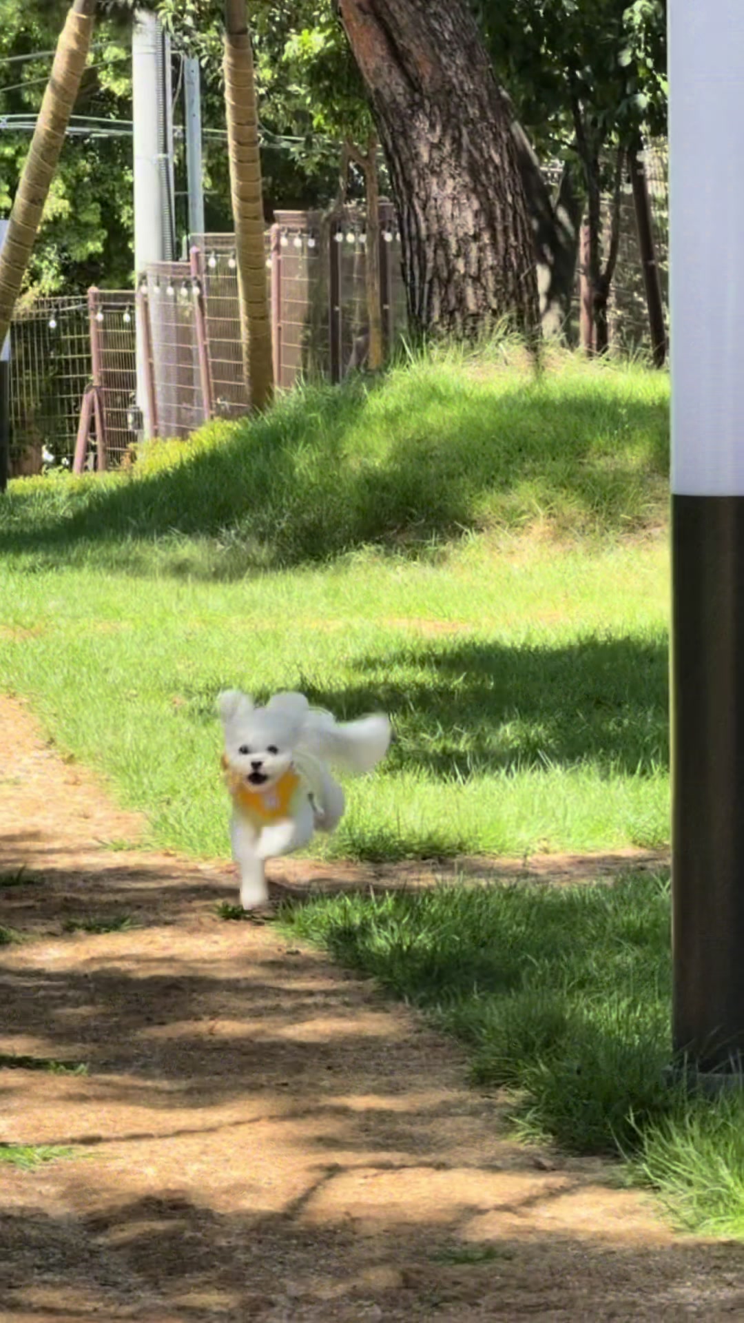 @짜원인데 뭐
