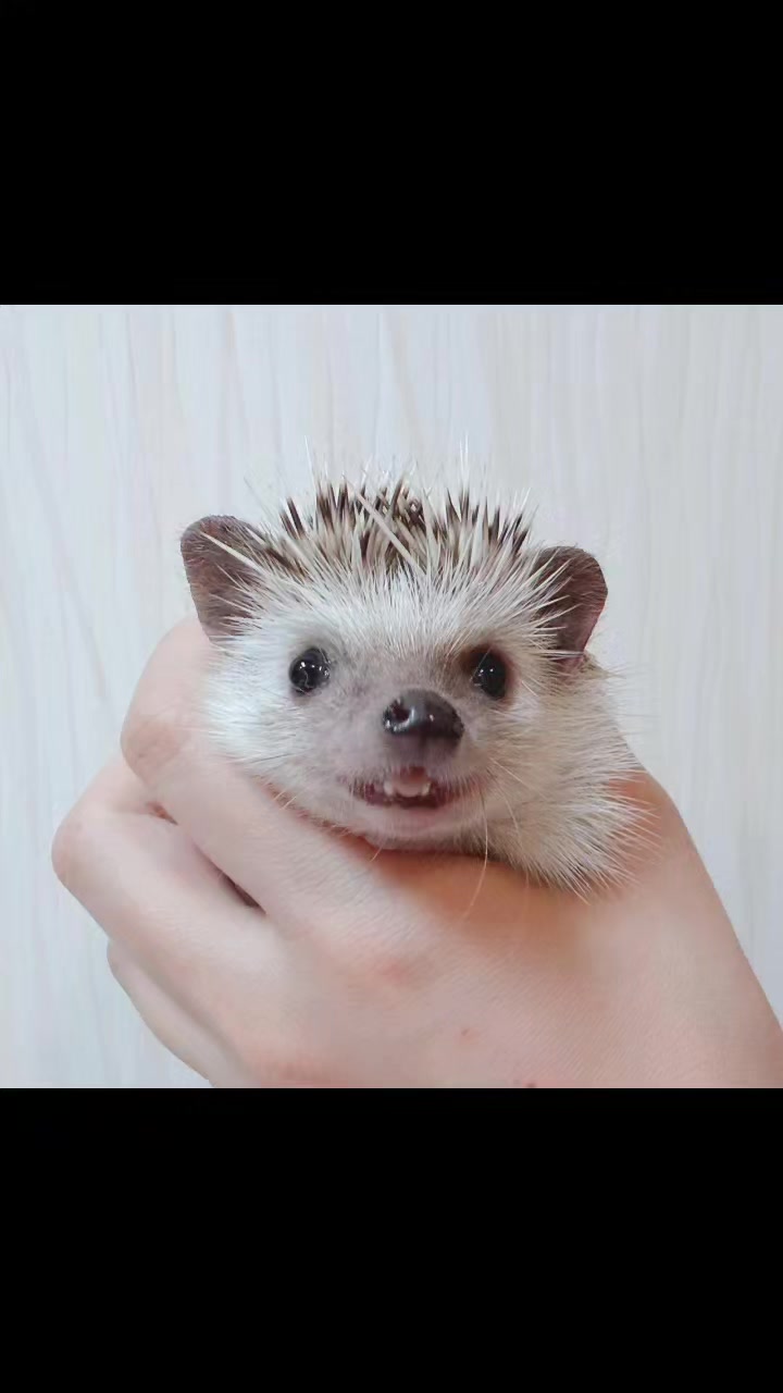 @ðŠãã«ããðŠ
