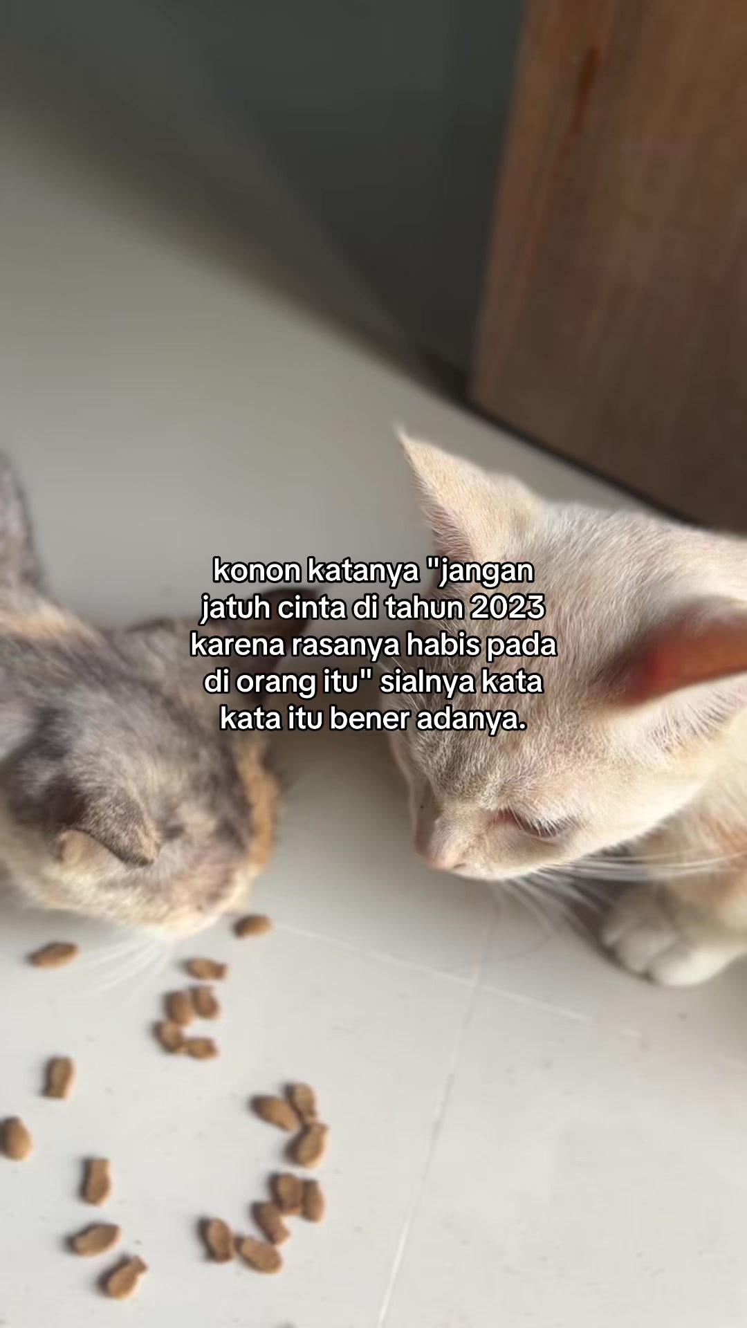 @idgaf🤷🏻♀️