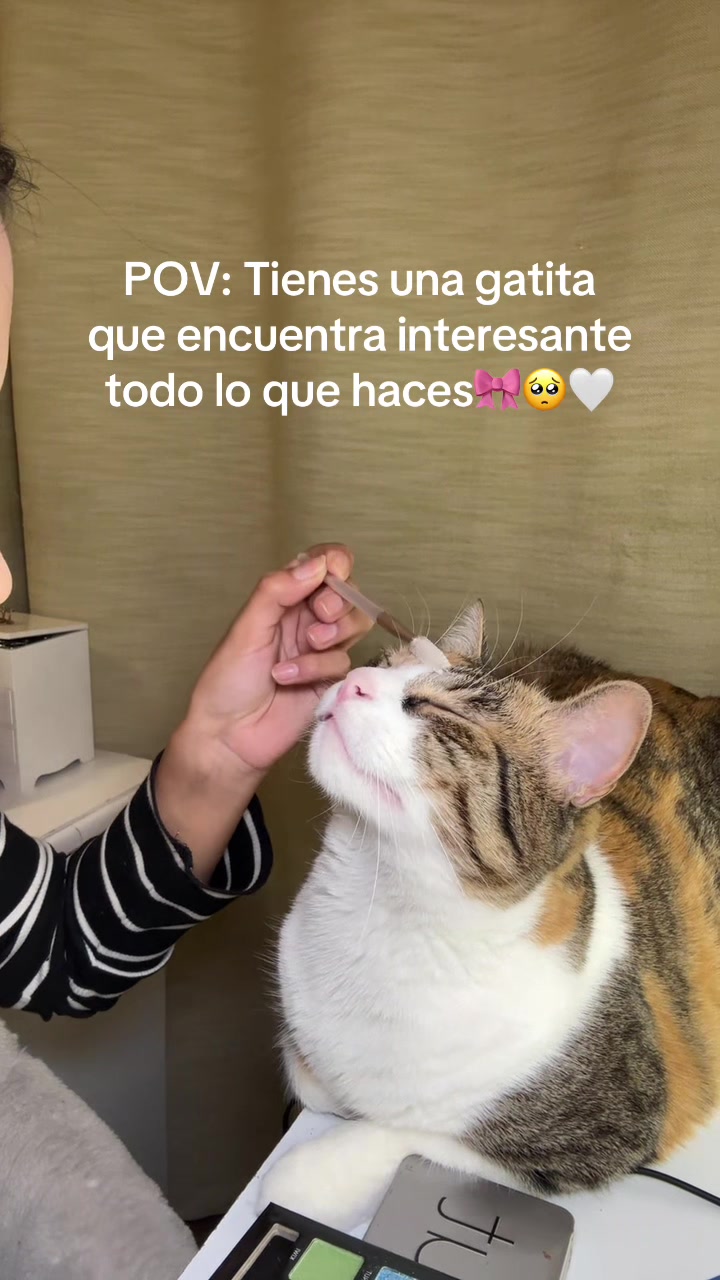@mysticaro
