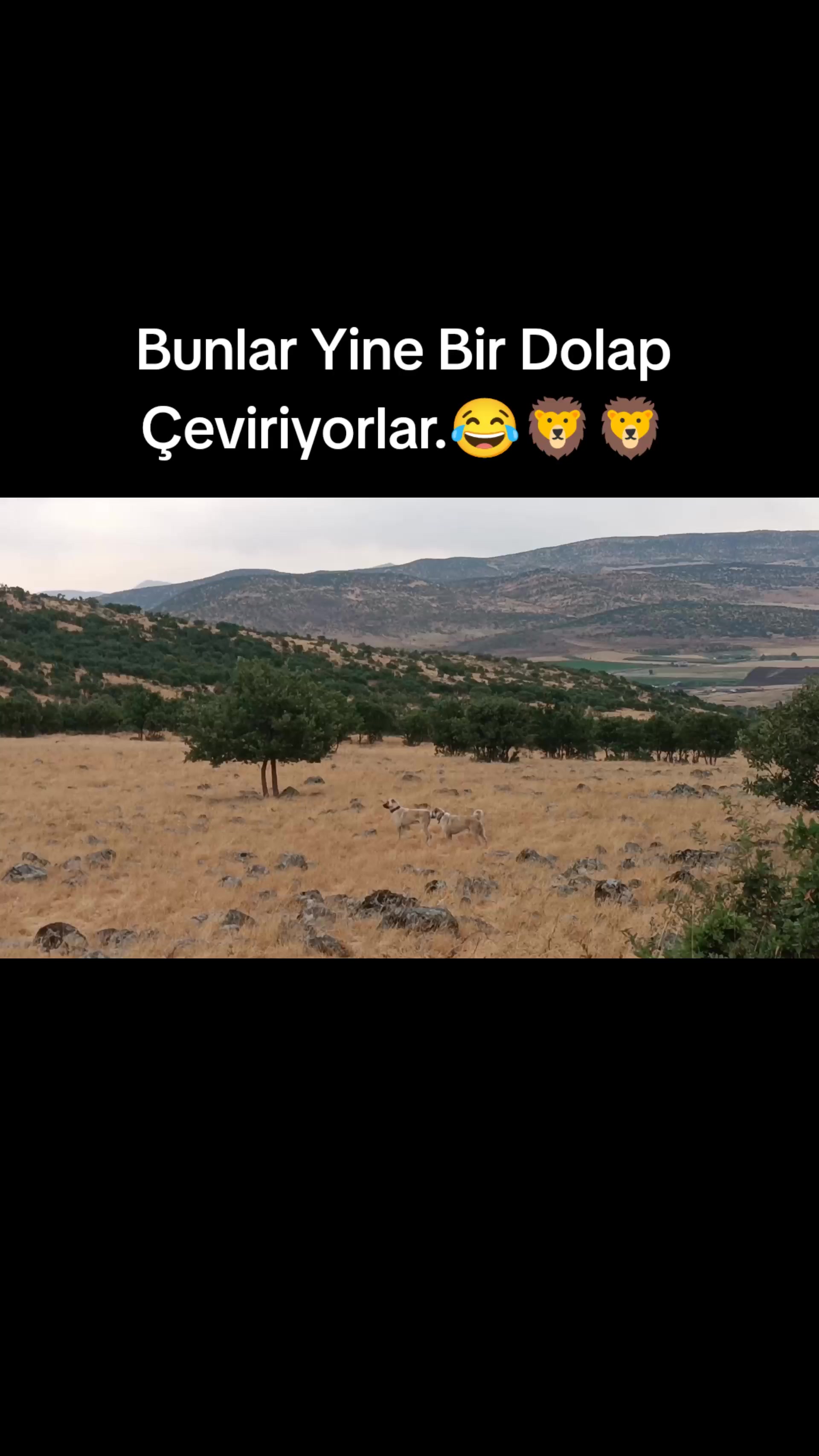 @koçer.12