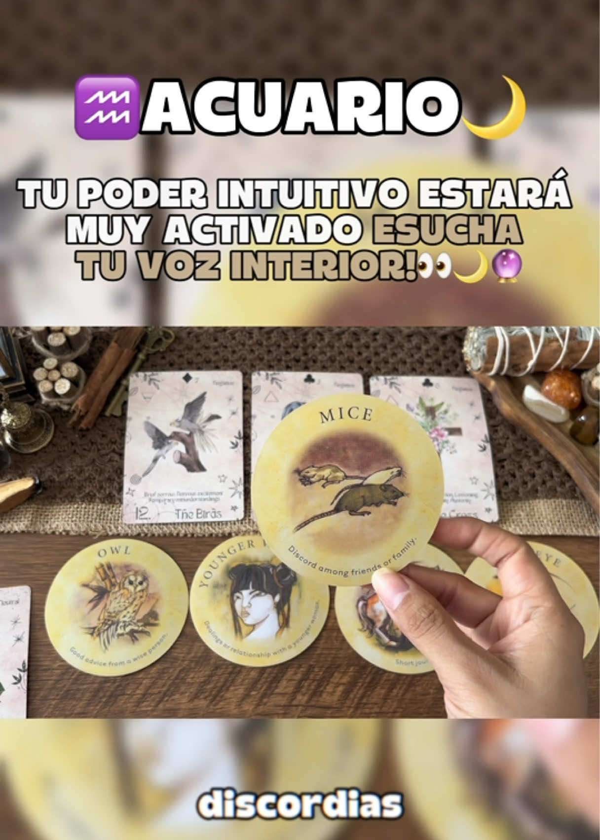 @Andy Sun Tarot ☀️