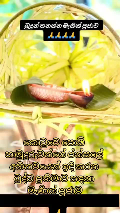 @Sky nisha