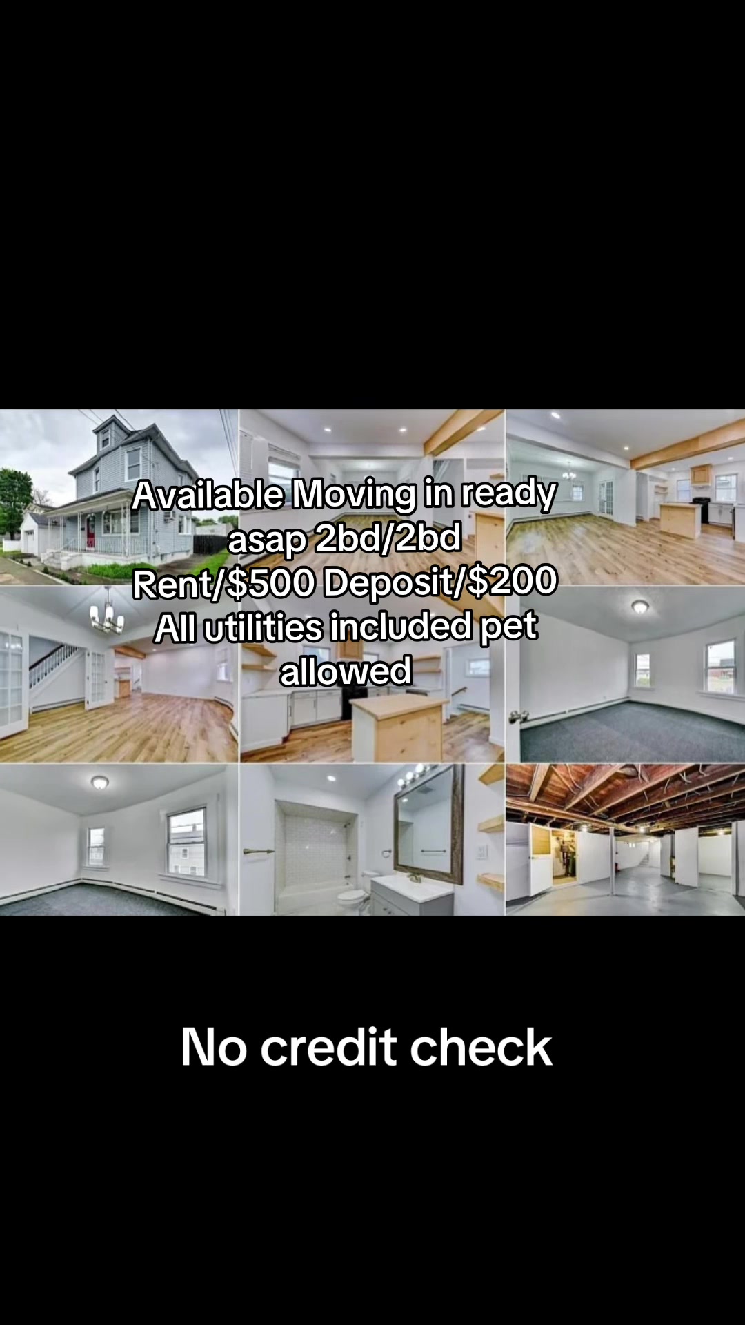@private landlord